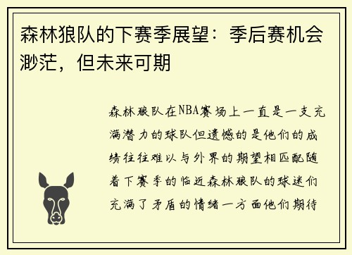森林狼队的下赛季展望：季后赛机会渺茫，但未来可期