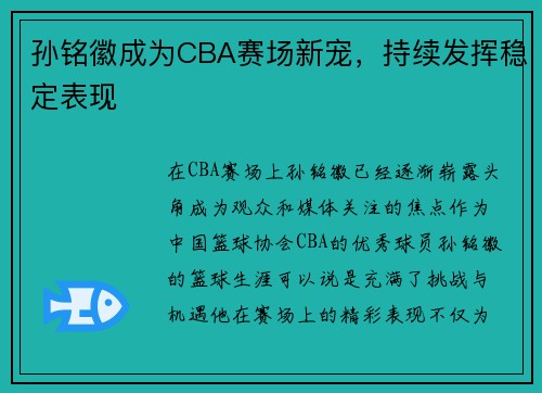 孙铭徽成为CBA赛场新宠，持续发挥稳定表现