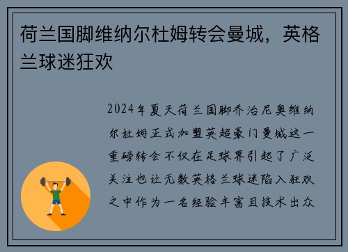 荷兰国脚维纳尔杜姆转会曼城，英格兰球迷狂欢