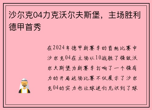 沙尔克04力克沃尔夫斯堡，主场胜利德甲首秀