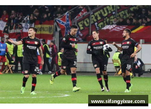 OETY欧亿体育官方网站多特客场绝杀，战胜勒沃库森的激情夜晚 - 副本